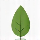 Icona di una foglia verde stilizzata, simbolo di naturalezza e origine vegetale.